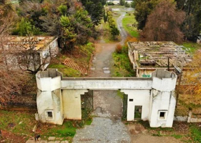 Regimiento de infantería Cauquenes